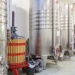 Drumul Vinului în Veliko Târnovo - traseul perfect cu crame și degustare de vinuri locale, mănăstiri, cascade și priveliști superbe - By Julia