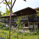 Drumul Vinului în Veliko Târnovo - traseul perfect cu crame și degustare de vinuri locale, mănăstiri, cascade și priveliști superbe - By Julia