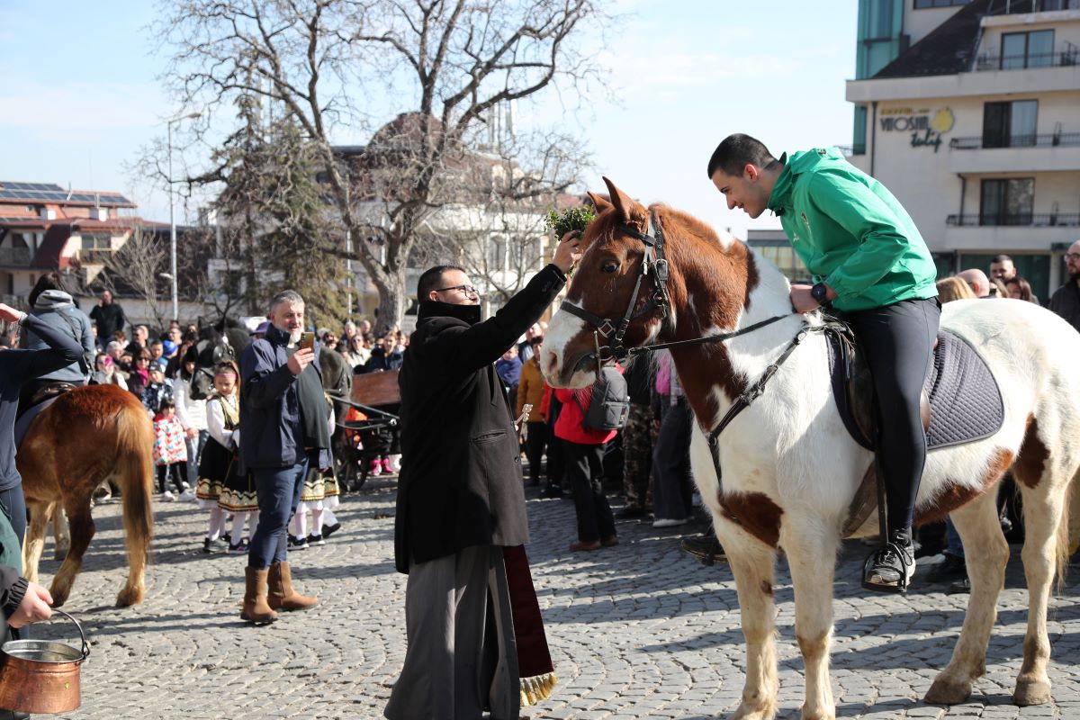 Da, da, la Paștele Cailor! La propriu. - By Julia Da, da, la Paștele Cailor! La propriu. - By Julia