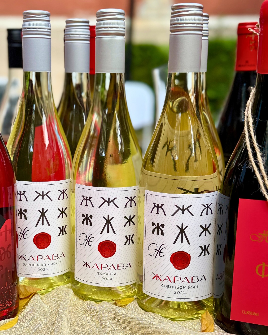 Marea Neagră în pahar: 16 crame din nord-est se reunesc pentru prima dată la Varna - By Julia