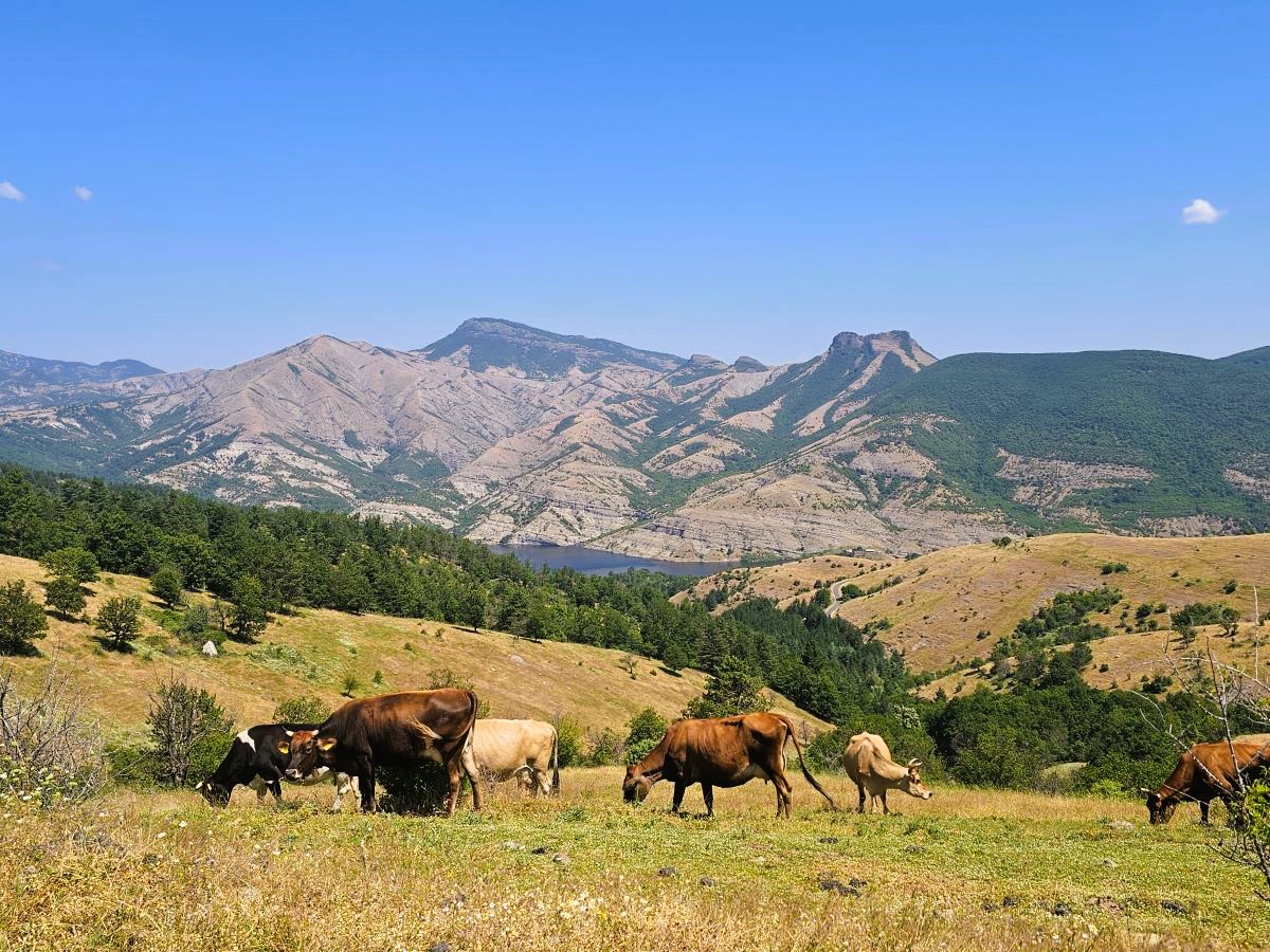 În Bulgaria, în drum spre Grecia prin Makaza? Descoperă Ardino, poarta spre misterele Munților Rodopi (I) - By Julia