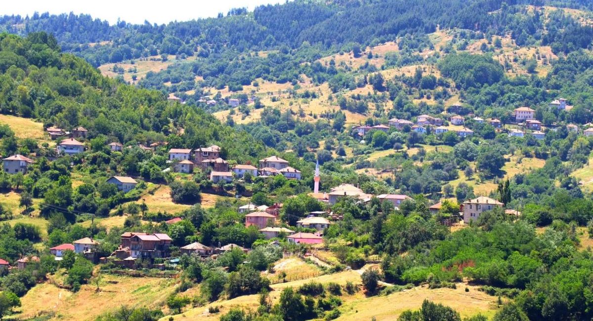 ardino munții rodopi