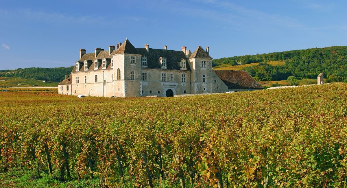 michelin vinuri burgundia