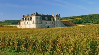 michelin vinuri burgundia