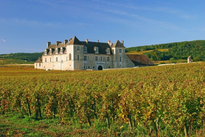 michelin vinuri burgundia