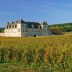 michelin vinuri burgundia
