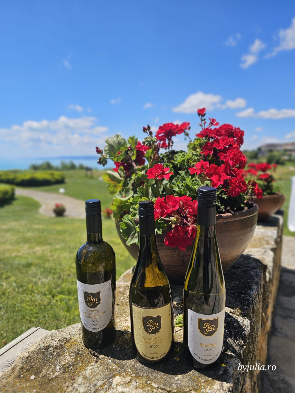 Chef-ul care l-a inspirat pe Hristo Filyov vine să gătească la BlackSeaRama Golf&Villas - By Julia Chef-ul care l-a inspirat pe Hristo Filyov vine să gătească la BlackSeaRama Golf&Villas - By Julia